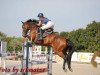 jumper Shakira G (German Sport Horse, 2010, from Quality Boy)