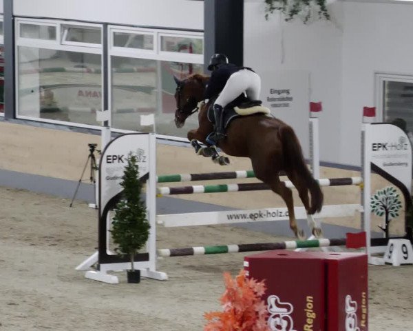 Reitturnier Borken 2023