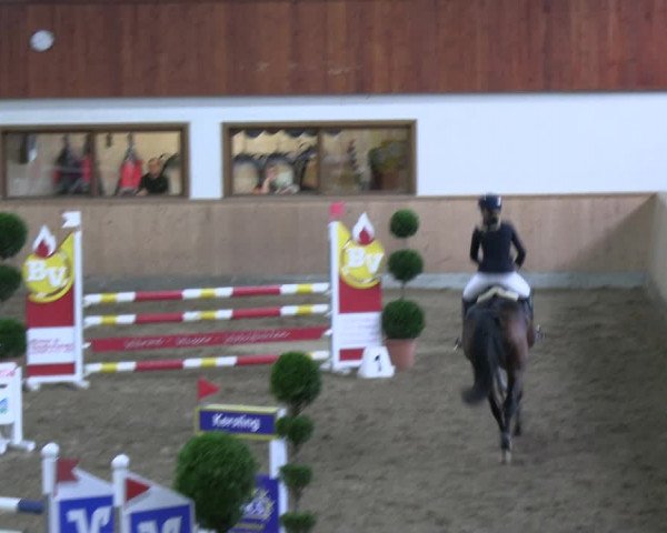 Reitturnier Hövelhof 2023