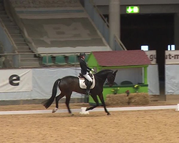 Reitturnier Kreuth 2023