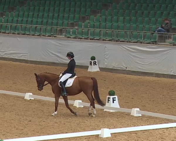 Reitturnier Kreuth 2023