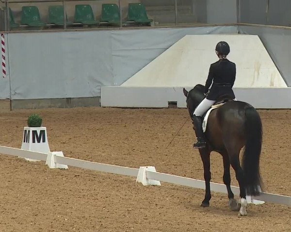 Reitturnier Kreuth 2023