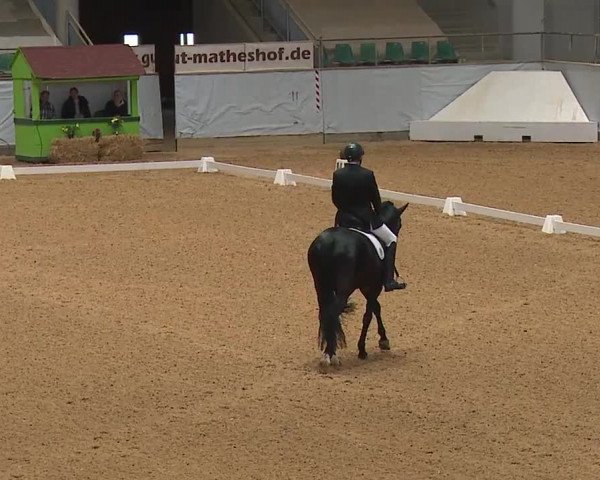 Reitturnier Kreuth 2023