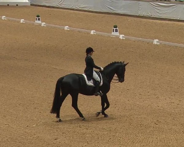 Reitturnier Kreuth 2023