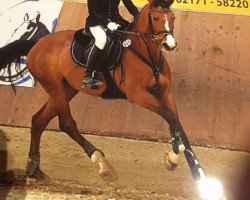 broodmare Milaine T (German Riding Pony, 2007, from Mentos Charmeur)