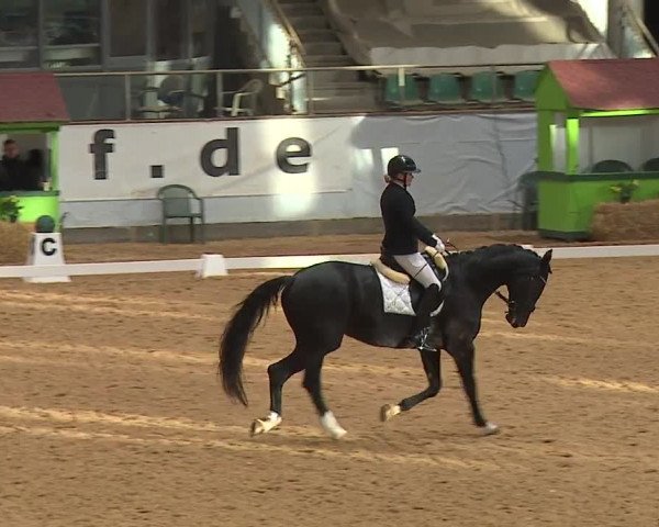 Reitturnier Kreuth 2023