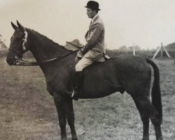 horse Rajah III (British Sport Horse, 1940, from Goughs Auction xx)