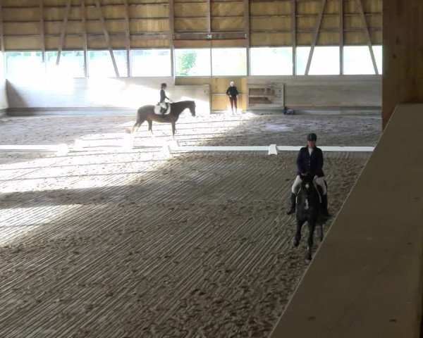Reitturnier Urtenen-Schönbühl 2023