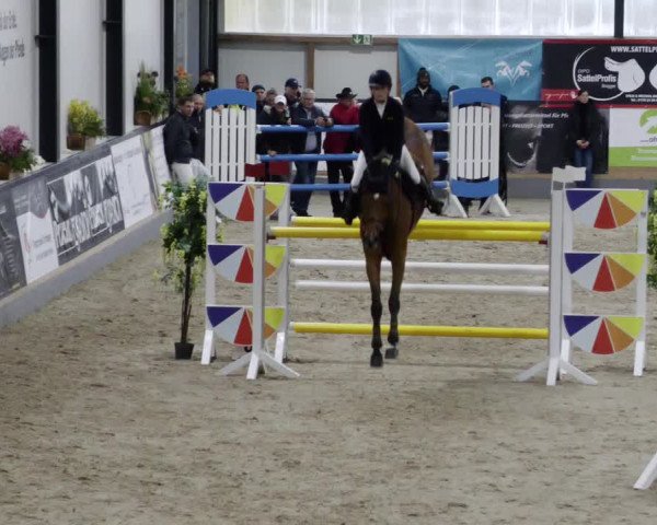 Reitturnier Borken 2023