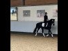 dressage horse Zacapa Negra B (German Sport Horse, 2017, from Birkhof's Zalando OLD)