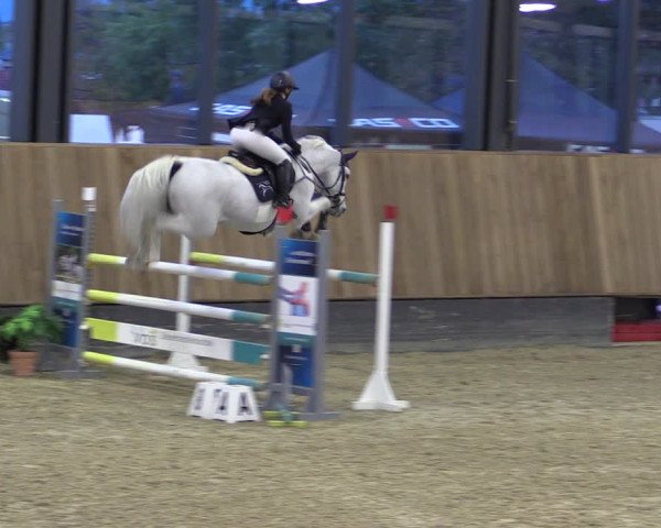 Reitturnier Zwickau 2023