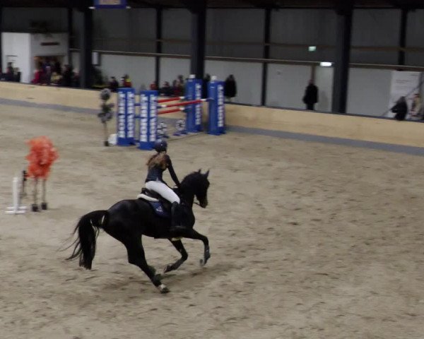 Reitturnier Borken 2023