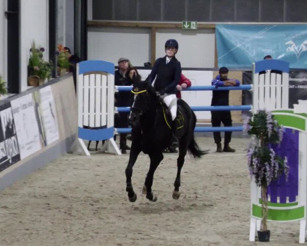 Reitturnier Borken 2023