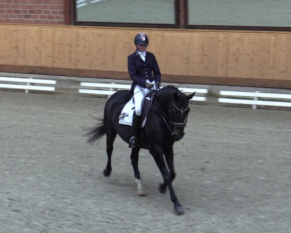 Reitturnier Hamburg-Friedrichshulde/Sylva Kuhrt 2023