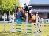 jumper Gil 20 (German Sport Horse, 2013, from Cheetano)