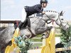 jumper Milton (Hungarian Warmblood, 2016)