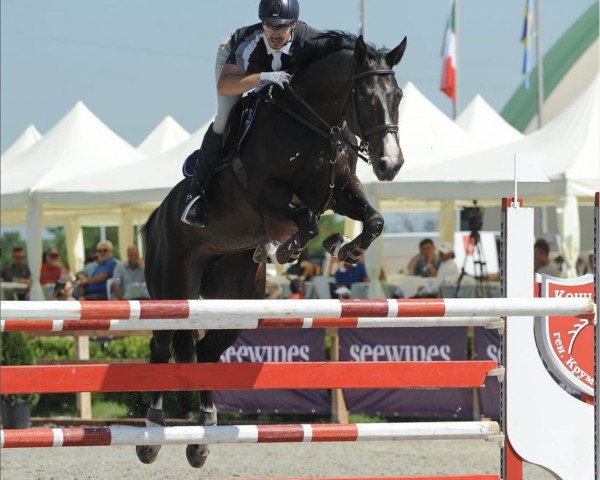 jumper Serena (Oldenburg show jumper, 2012)