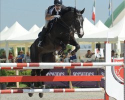 jumper Serena (Oldenburg show jumper, 2012)