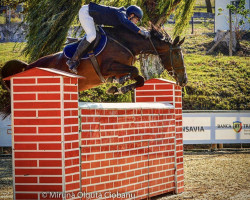 jumper Baloumina (Bavarian, 2011, from Balou du Rouet)