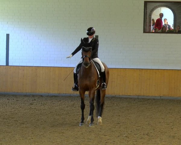 Reitturnier Frechen-Bachem 2023