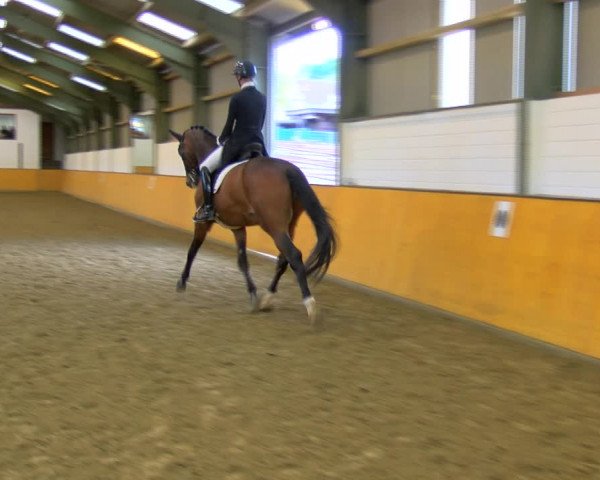 Reitturnier Frechen-Bachem 2023
