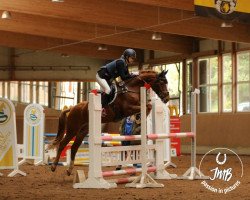 jumper Crazy Boy 20 (German Riding Pony, 2012, from Classic Dancer III)