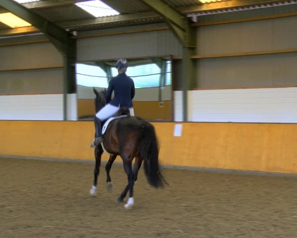 Reitturnier Frechen-Bachem 2023