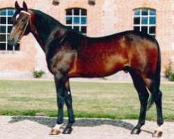 stallion Workaholic AA426 (US) (American Trotter, 1982, from Speedy Crown 9498H (US))