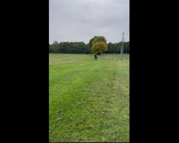 Video of Winniza 35