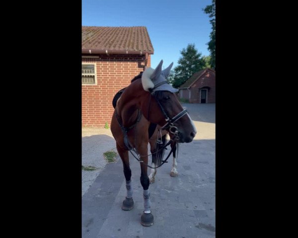 Video of Winniza 35