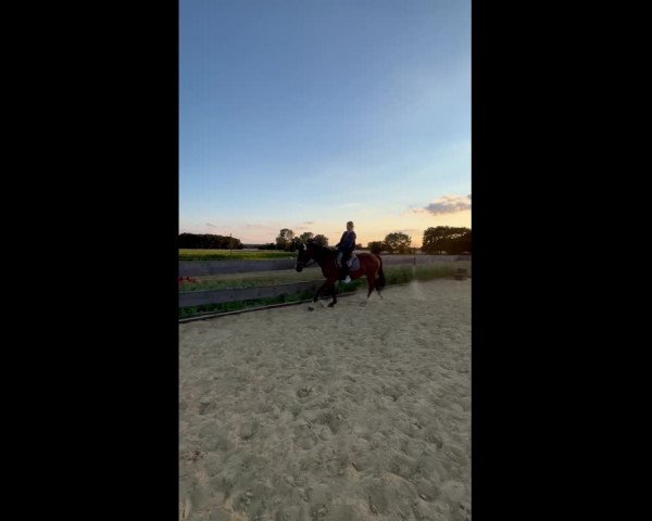 Video of Winniza 35