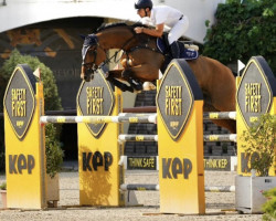 jumper Dooley Wv (KWPN (Royal Dutch Sporthorse), 2008, from Ustinov)