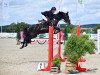 jumper Rockstar 19 (German Riding Pony, 2016, from Kantje's Ronaldo)