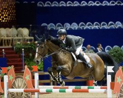 jumper Jelly Belly van het Eikenhof (Belgian Warmblood, 2009, from Chopin van het Moleneind)