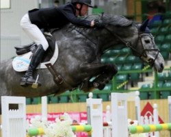 jumper Jetlag (KWPN (Royal Dutch Sporthorse), 2014, from Lux Z)