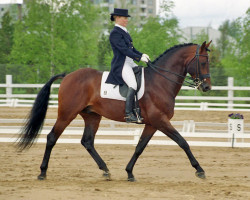 Pferd Königs Kronos KS 108 FIN (Finnisches Warmblut, 1993, von Königin's Sohn KS 69 FIN)