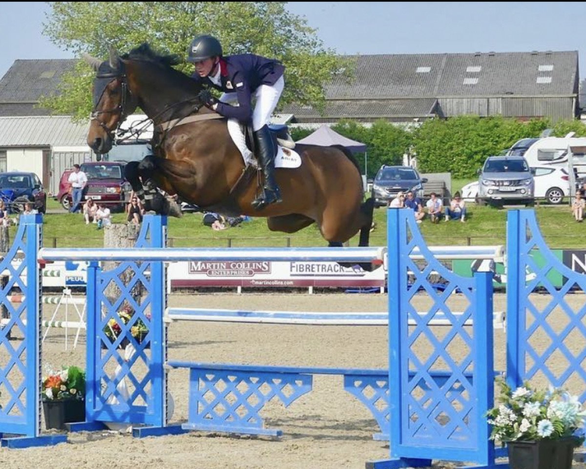 Springpferd Kbis Caicos (Dänisches Warmblut, 2003, von Cajus)