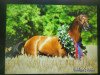 stallion Quidam's Rubin (Holsteiner, 1999, from Quidam de Revel)