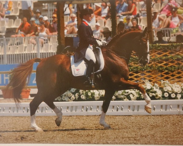 stallion Wie Weltmeyer (Hanoverian, 1990, from Weltmeyer)