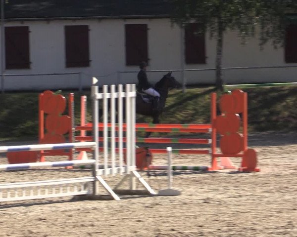 Reitturnier Lgl.-Oberhain, B95 2021