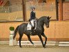 dressage horse De Loreans Diamond (German Sport Horse, 2016, from DeLorean)