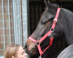 dressage horse Vina Ria (Westphalian, 2022, from Va' Pensiero)