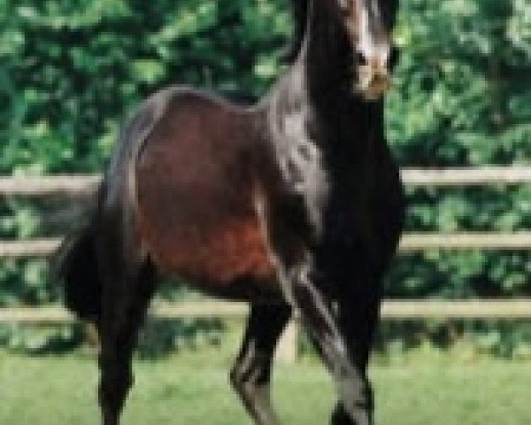 stallion Off Gy (FR) (French Trotter, 1980, from Florestan (FR))