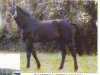 stallion Hetre Vert (FR) (French Trotter, 1973, from Sabi Pas (FR))
