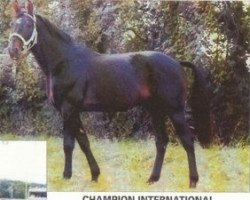 stallion Hetre Vert (FR) (French Trotter, 1973, from Sabi Pas (FR))