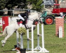 jumper Western Columbo (Connemara Pony, 2009, from I Love You Melody)