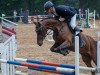 jumper Catch Me If You Can 53 (German Sport Horse, 2017, from Campitello)