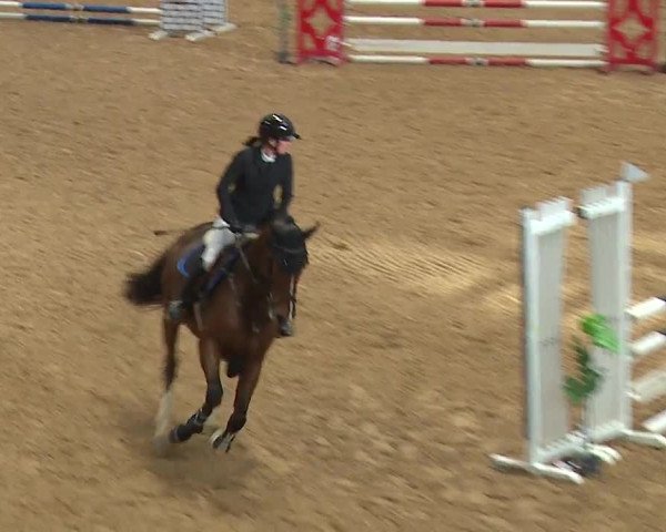 Reitturnier Kreuth 2023