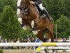 stallion Feuerball 78 (Hanoverian, 2000, from For Pleasure)