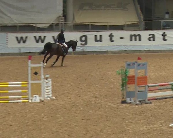 Reitturnier Kreuth 2023
